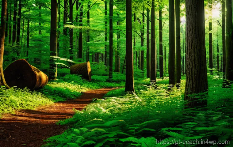 자연 연결 교육 프로그램의 목표 달성을 위한 전략 - Here are three detailed image prompts in English, adhering to all specified guidelines: