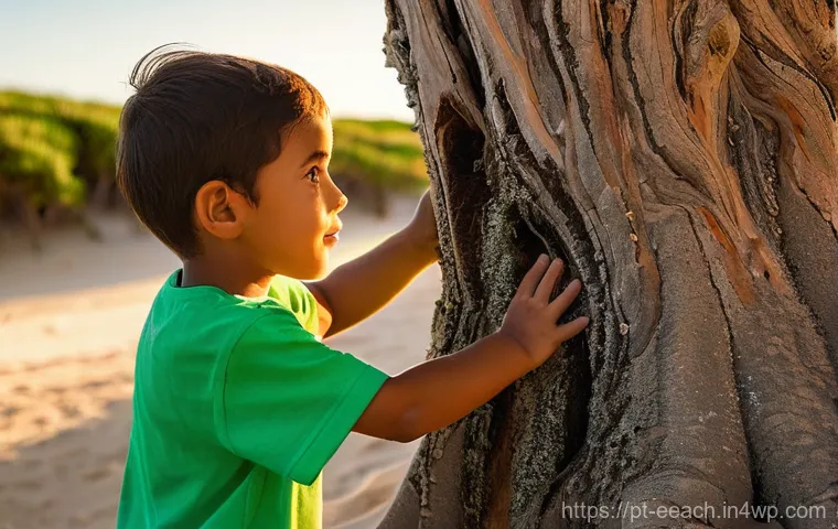 자연 연결 교육의 사회적 가치 - **"The Joy of Unfettered Exploration"**
    A vibrant, sun-dappled forest clearing in Portugal, remi...