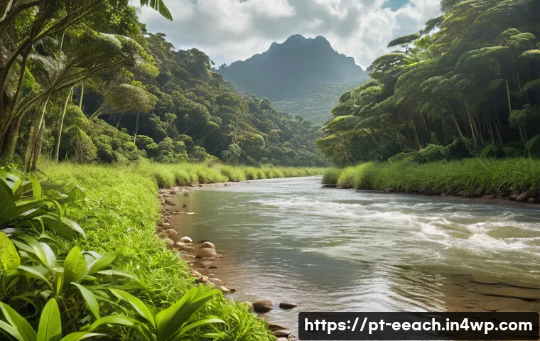 5 passos essenciais para participar do programa de educação em conexão com a natureza e transformar sua experiência ambiental 3 자연 연결 교육 프로그램의 참여 방법 관련 이미지 1