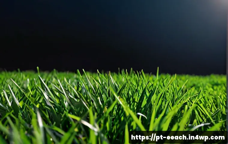 Educação com ligação à natureza: benefícios, limites e como escolher um bom programa 4 자연 연결 교육의 장점과 혜택 관련 이미지 2